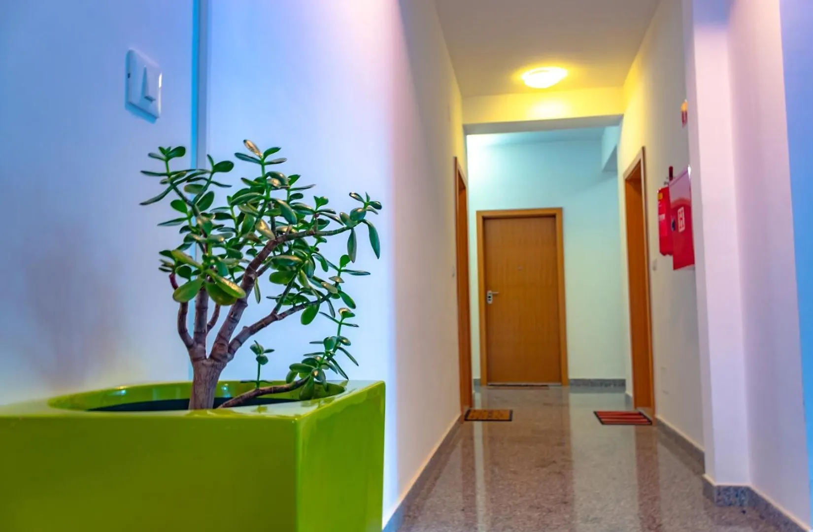 Apartment Botic Porec 0*,